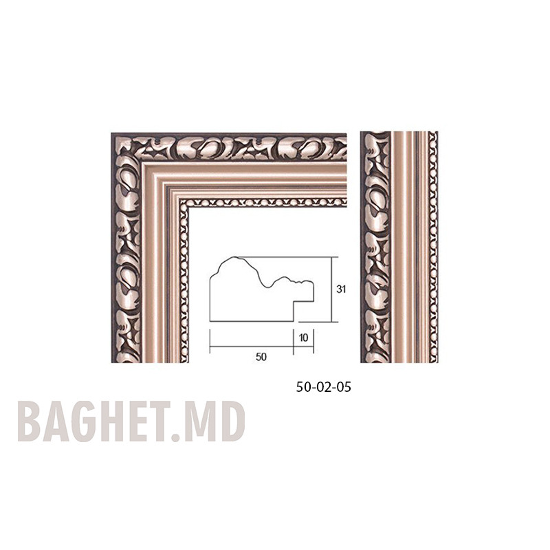 Пластиковый багет Art. 51-02-05 по 3,51 USD на Baghet.md